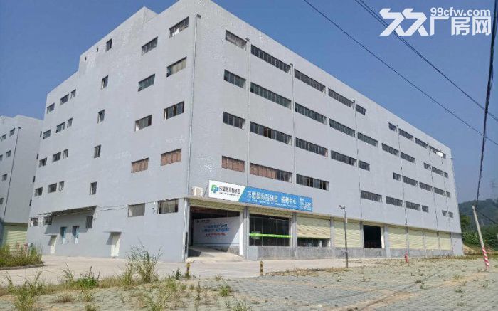 产业园区6000平方米标准厂房、仓库出租 自由分割-图1