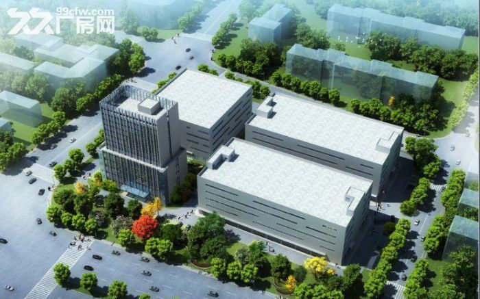 产业园区6000平方米标准厂房、仓库出租 自由分割-图3