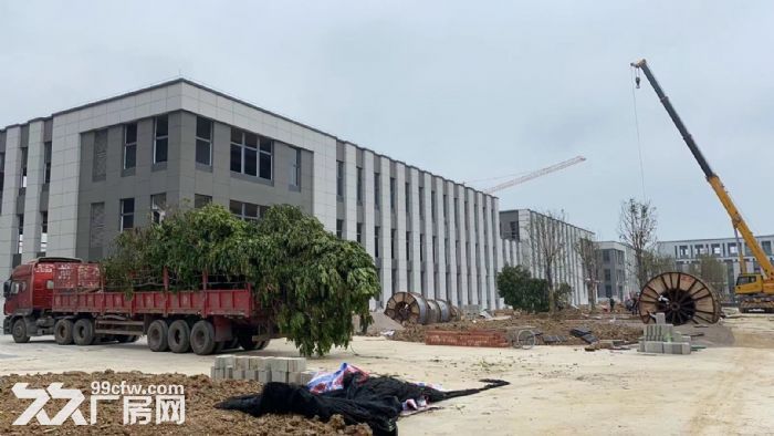 五层独栋企墅，1300&minus;6500平，可整栋或分层出租，月租金17元/㎡-图5