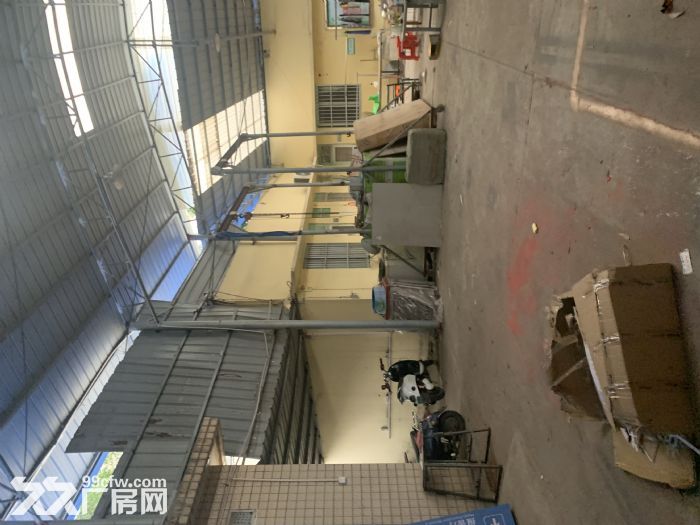 现成厂房，即租即用，无拆迁风险，交通便利，采光好。-图2