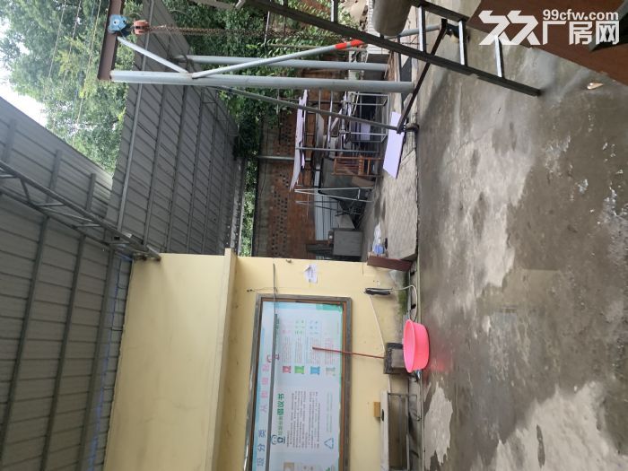 现成厂房，即租即用，无拆迁风险，交通便利，采光好。-图3
