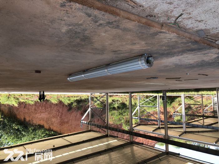 良庆区新厂房出租，交通便利-图2