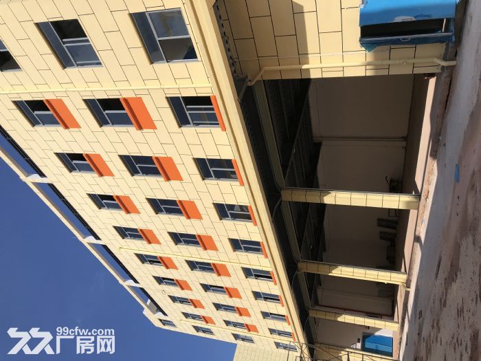 良庆区新厂房出租，交通便利-图4