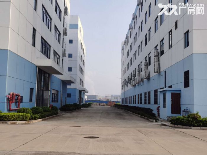 华永丰科技园标准厂房、办公楼、宿舍楼招租！-图2