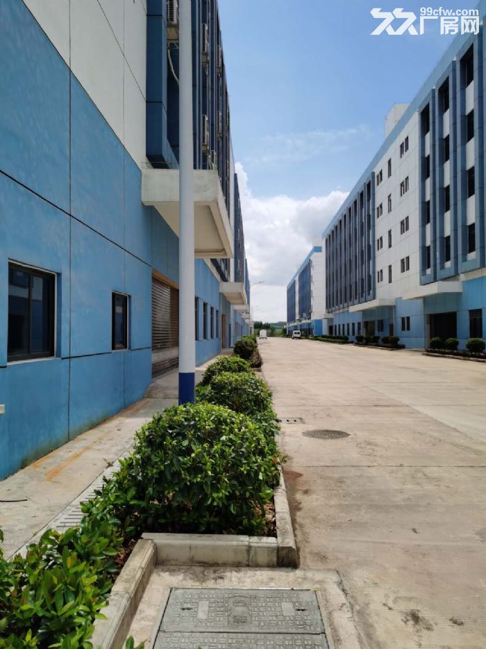 华永丰科技园标准厂房、办公楼、宿舍楼招租！-图3