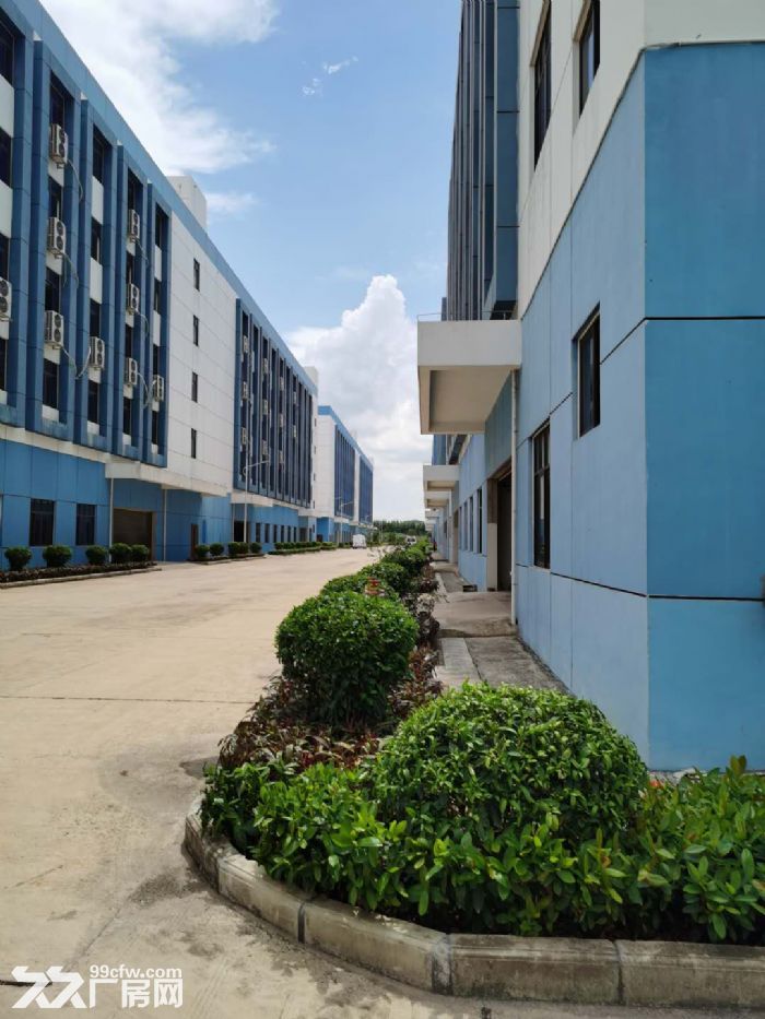 华永丰科技园标准厂房、办公楼、宿舍楼招租！-图4