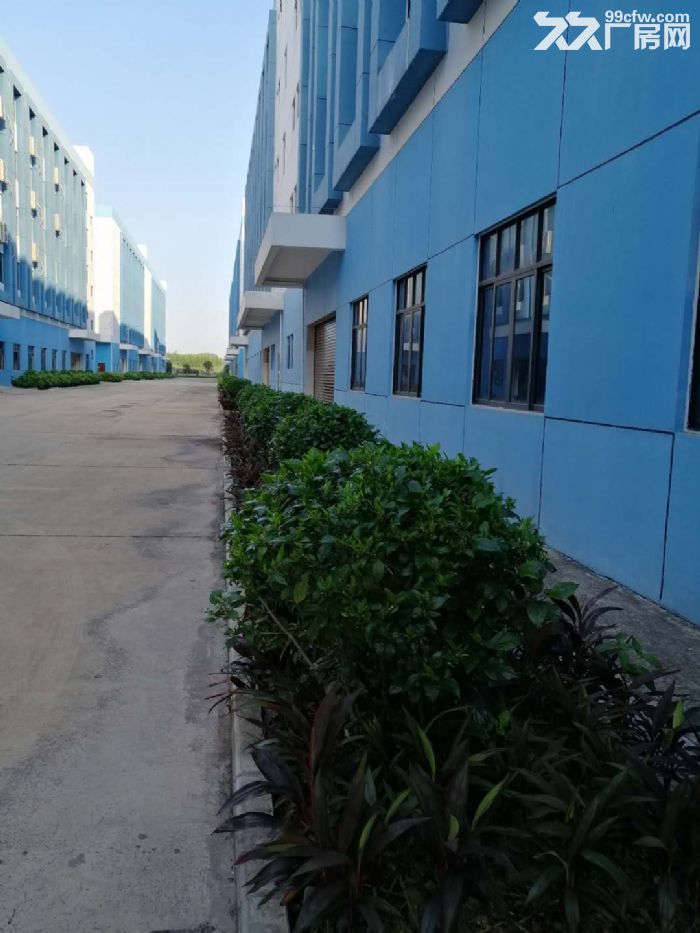 华永丰科技园标准厂房、办公楼、宿舍楼招租！-图6