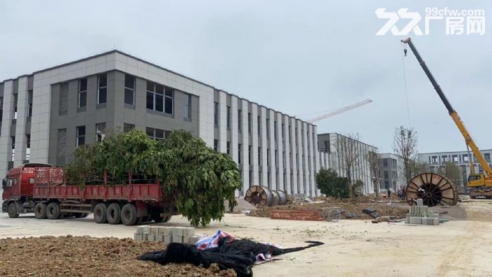 高新区标准厂房，1300&minus;6500平，月租金17元/㎡，上下游产业聚集-图1