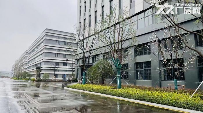 高新区标准厂房，1300&minus;6500平，月租金17元/㎡，上下游产业聚集-图3