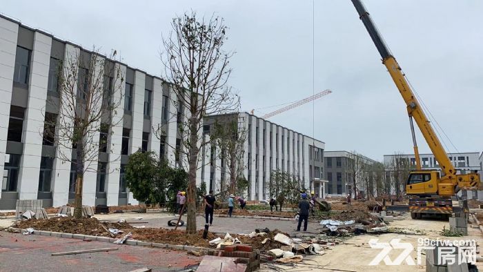 高新区标准厂房，1300&minus;6500平，月租金17元/㎡，上下游产业聚集-图4