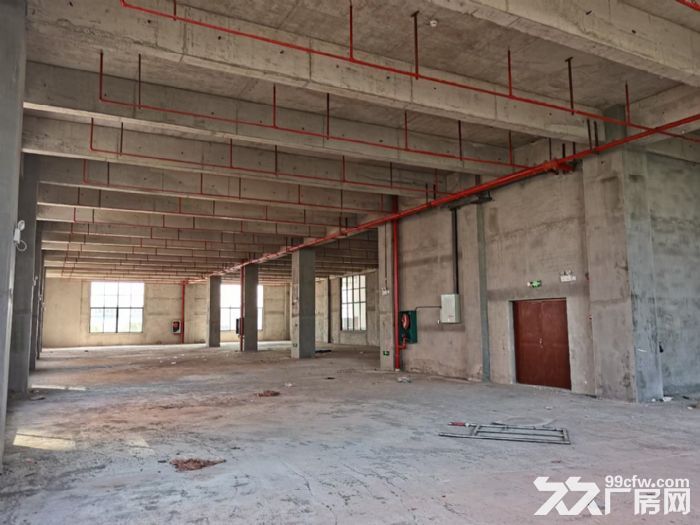 500&minus;&minus;2100㎡标准厂房6元/㎡起租！-图3