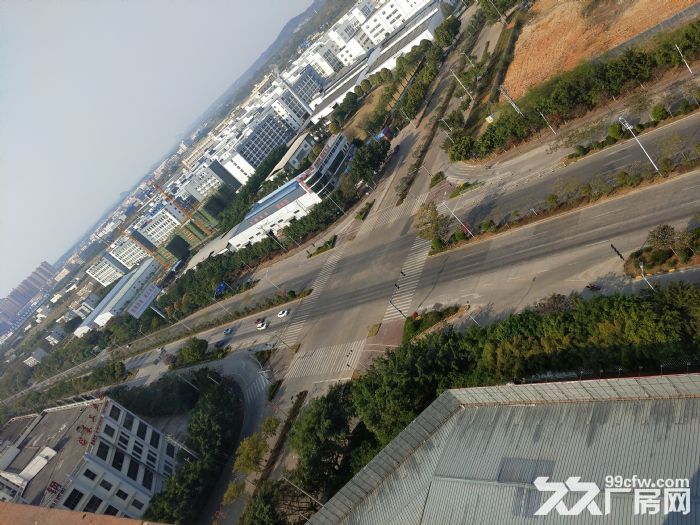 500&minus;&minus;2100㎡标准厂房6元/㎡起租！-图5