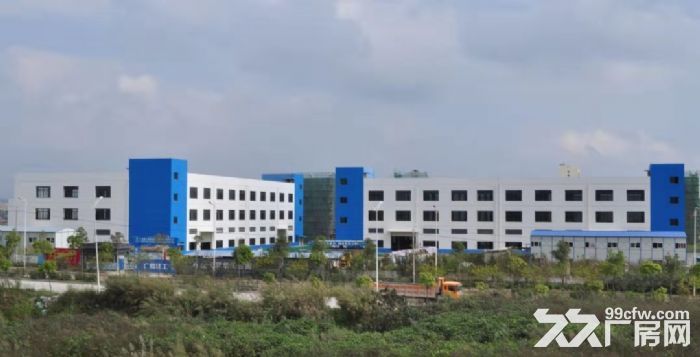 兴宁三塘6米层高一楼标准厂房-图1