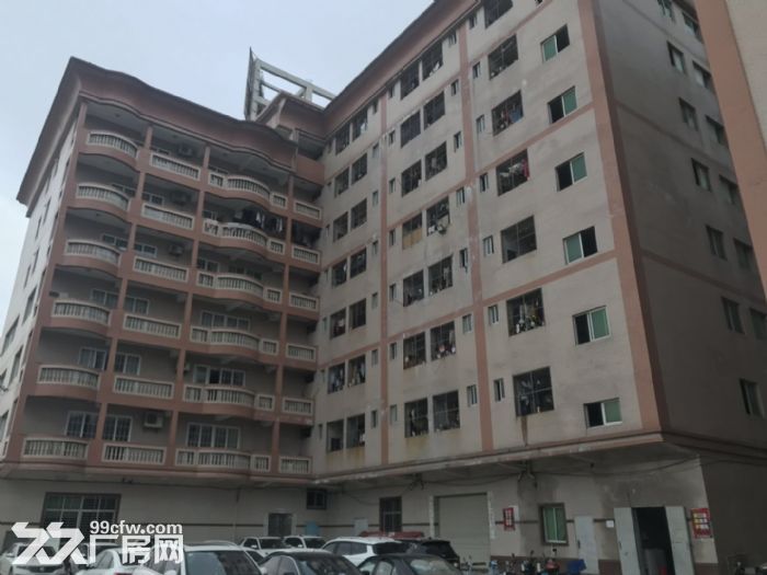 晋江西滨工业区厂房宿舍办公楼出租，交通便利，大挂车可进入厂区-图1