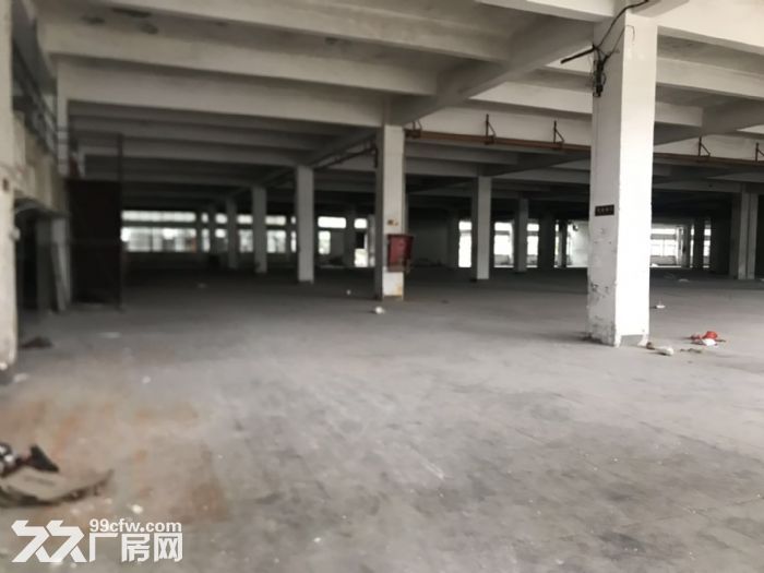 城东南浦工业区整栋厂房在出租一万平城东洛江我都有需要扣我哦！-图1