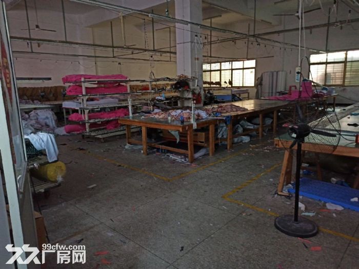 浮桥坂头工业区一楼厂房可做生产或仓库-图1