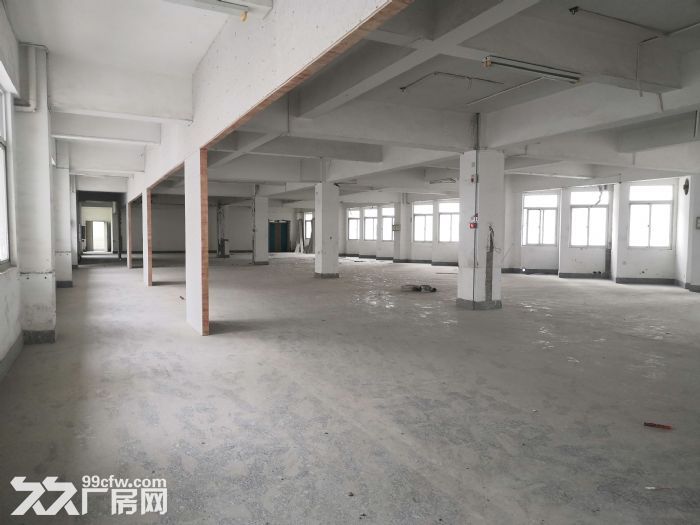 城东南浦工业区整栋厂房诚意出租一万平城东 洛江 有意向联系-图1