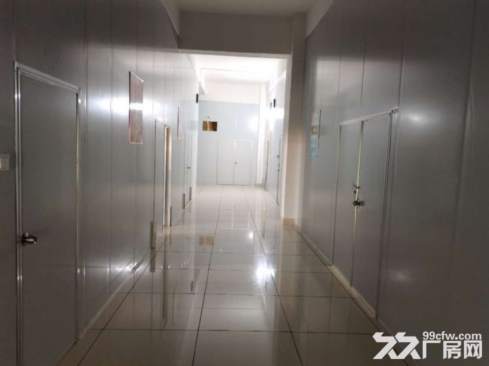 800平方米食品厂房出租-图4