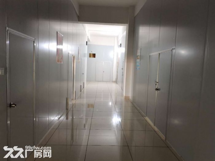 1300平方米精装修食品厂房，已经隔好彩钢板装好水电等-图5