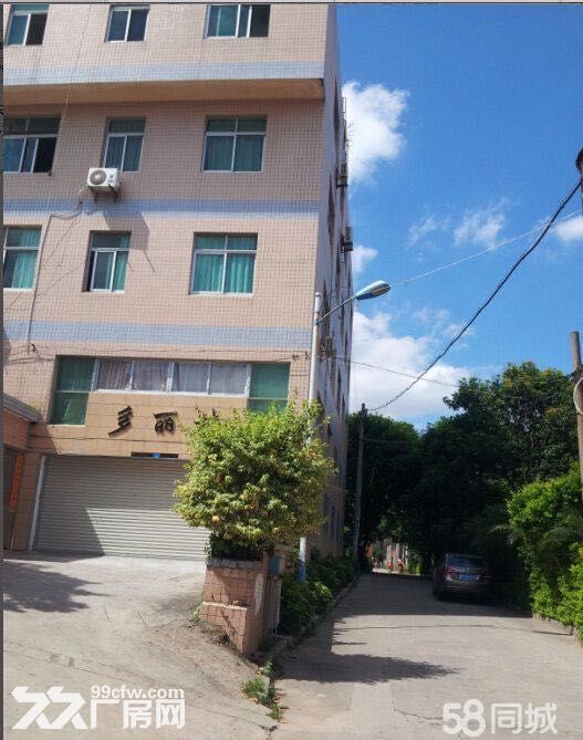 万科城对面700米仓库厂房写字楼，适合电商小工厂 丰泽北峰西湖江滨路-图1