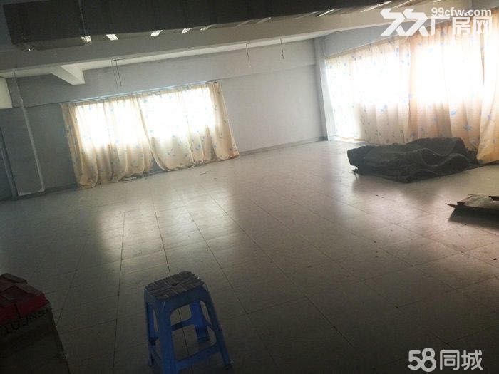 万科城对面700米仓库厂房写字楼，适合电商小工厂 丰泽北峰西湖江滨路-图7