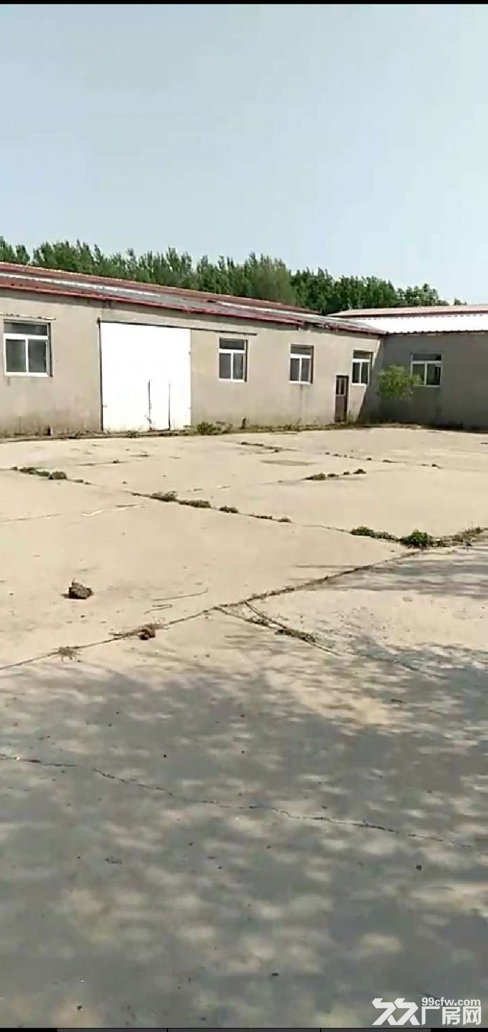 沈北道义全胜有厂房3000平出租-图2