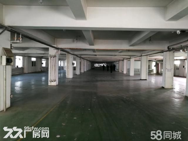 浑南大道附近1637平厂房出租 水电暖齐全-图1