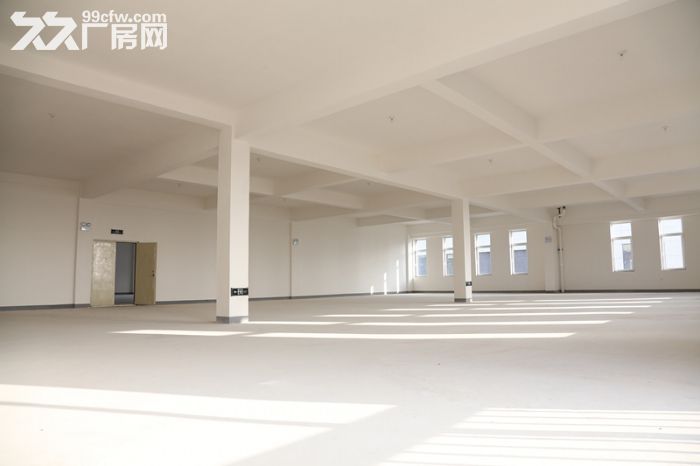 860平框架厂房出租出售-图1