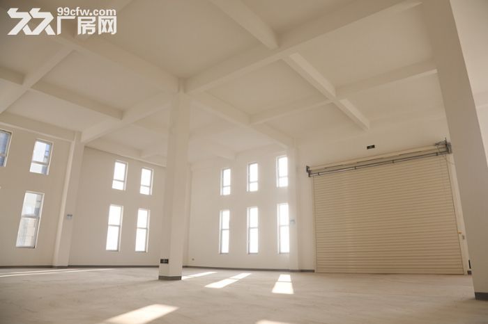 中电光谷产业园1500平工业厂房出售（现房）-图2