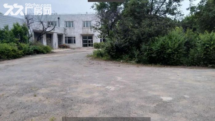 大东区1162平厂房出租（2层）-图1