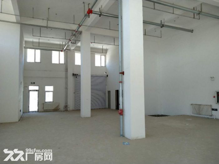 浑南900平框架结构厂房出租 水电暖全-图2