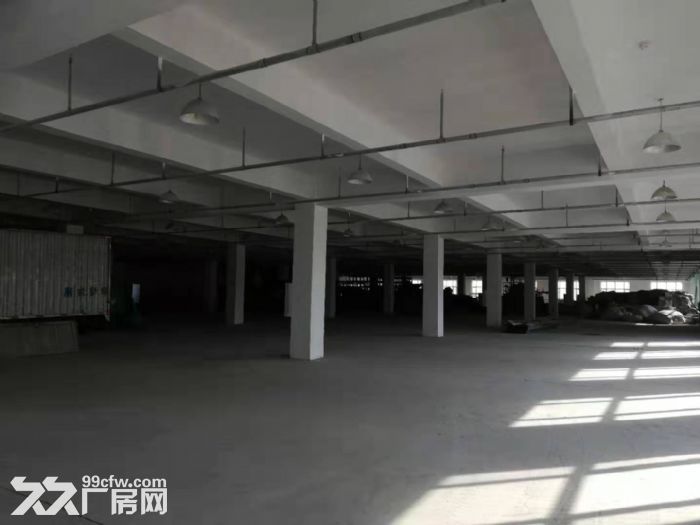 欧盟开发区楼库出租 有喷淋-图1