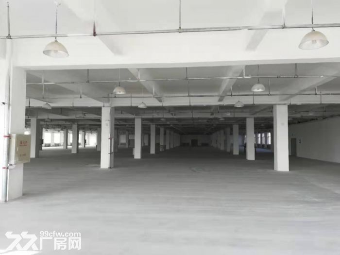 欧盟开发区楼库出租 有喷淋-图3