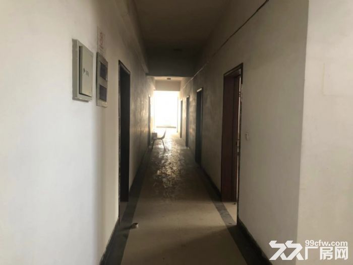 沈北新区佳阳路厂房2400平出租-图6