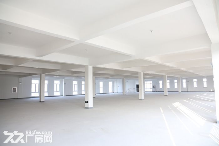 2000平工业厂房出售，现房即买即用-图1