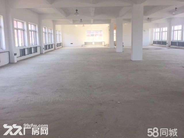 [精品]浑南区框架厂房出租 全新 环评供暖消防都有-图2