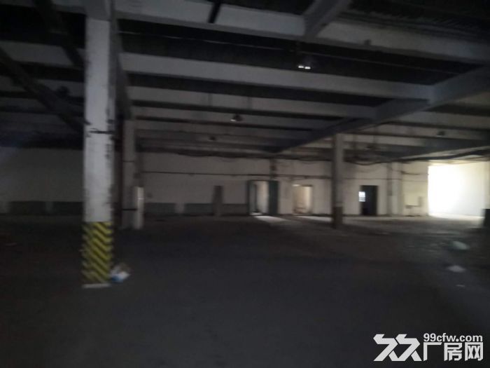 浑南16000平厂房出租 水电暖全-图1