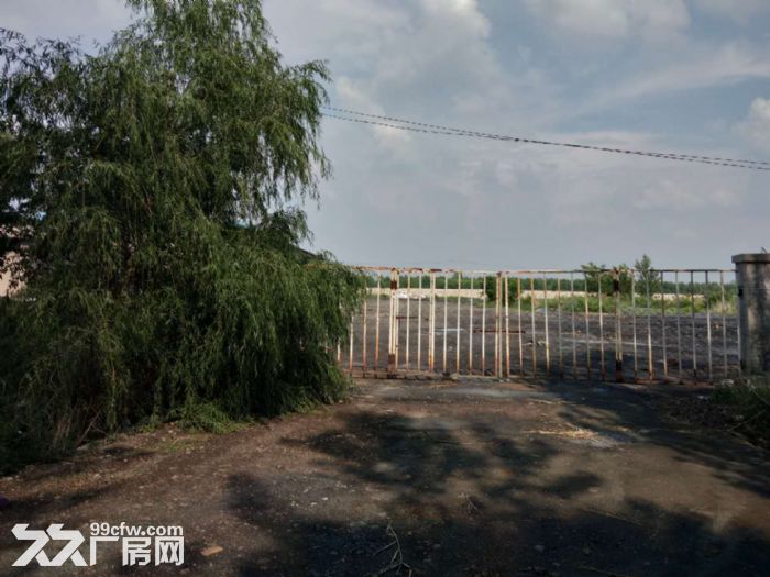 苏家屯区大杨线附近有厂房1270平-图2
