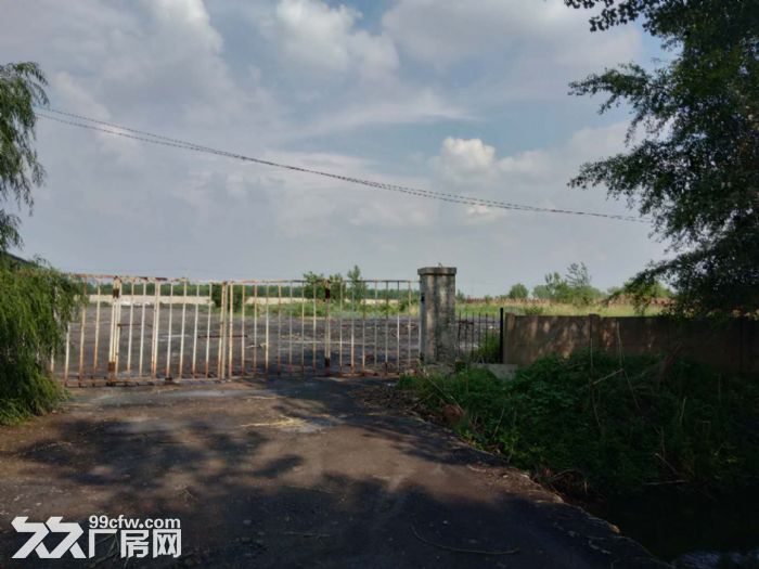 苏家屯区大杨线附近有厂房1270平-图6