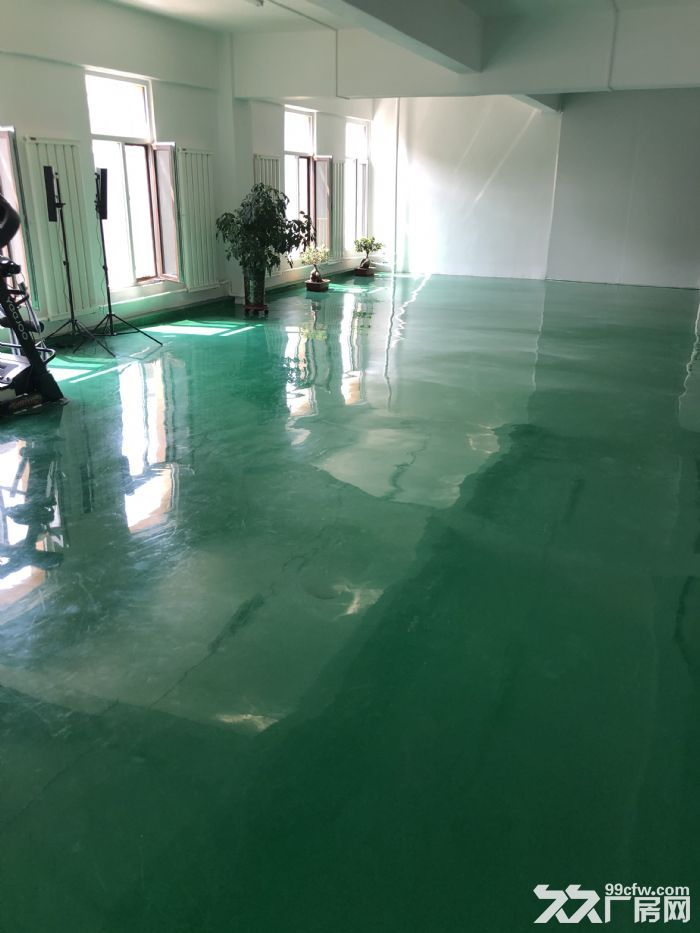 小面积厂房出租出售精装修价格实惠-图2