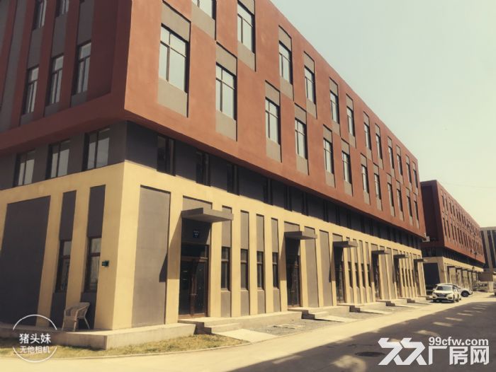 浑南长白山姆商店附近 1000平厂房出租出售-图2