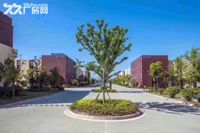 新品小户型520平米首层8.1米高举架火爆热销中-图3