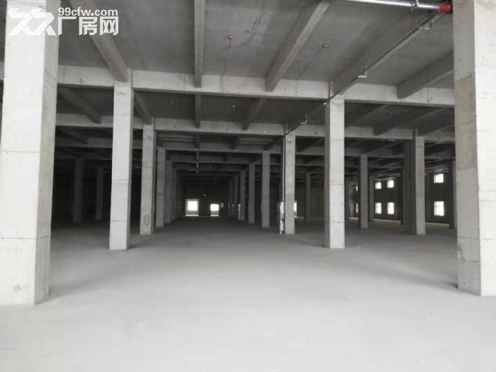 浑南厂房，二三层各4000平米，举架两层都是6米，独栋厂房2100平-图3