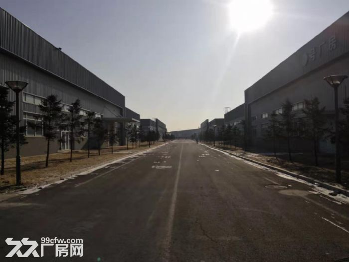 沈北厂库房5栋，44000平米，举架5.8米，可分租3000平米起-图1