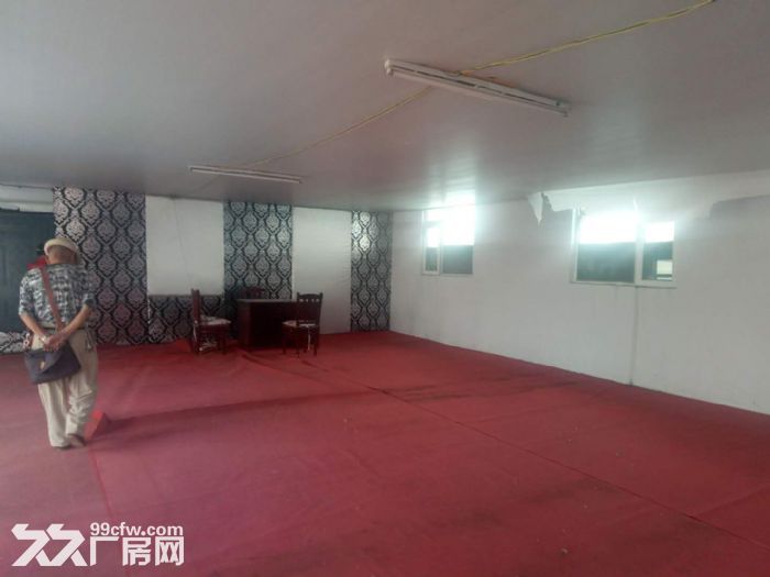 沙坨子附近有厂房500平.举架最高点6米-图3