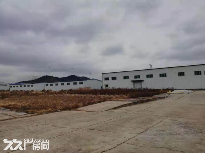独门独院厂房出租出售 占地44亩，建筑面积6000平-图7
