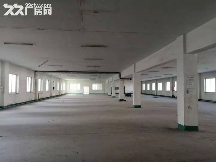 三层框架厂房出租，4800平米，有货梯，工业用地-图3