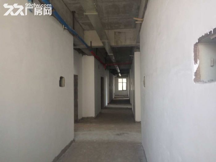 于洪二环外办公楼出租 3250平 适合办公、培训等-图2