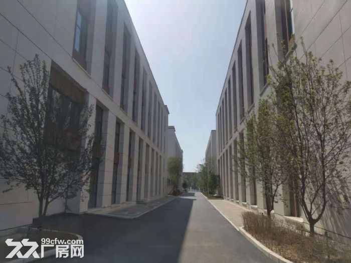 售！标准工业房 高举架 配套齐 位置好 价低 可贷-图4