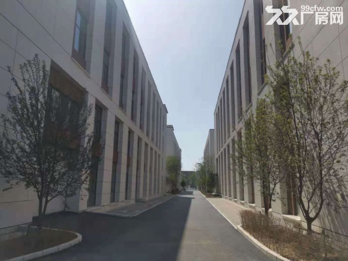 浑南厂房 2800平 面积灵活 配套全 高新区 可贷款-图4